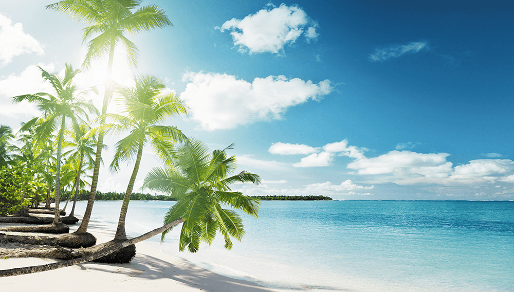 cruise with elite dream vacations